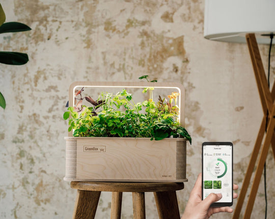 GreenBox